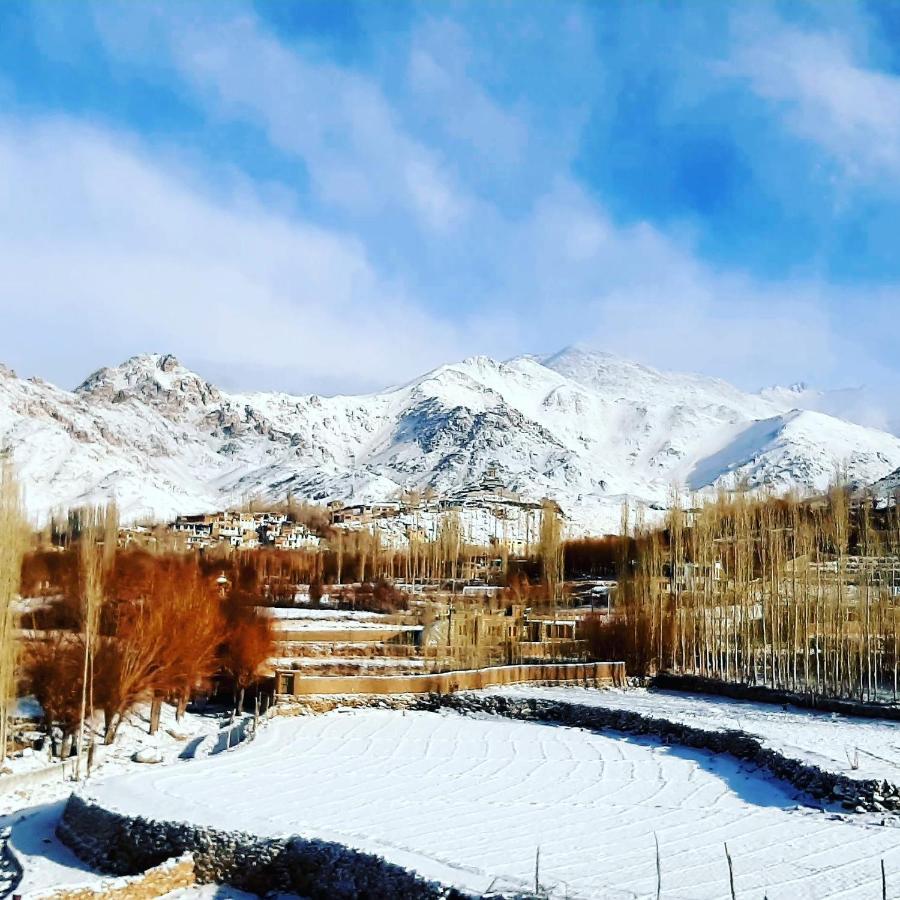 Ladakh Country Inn 레 외부 사진